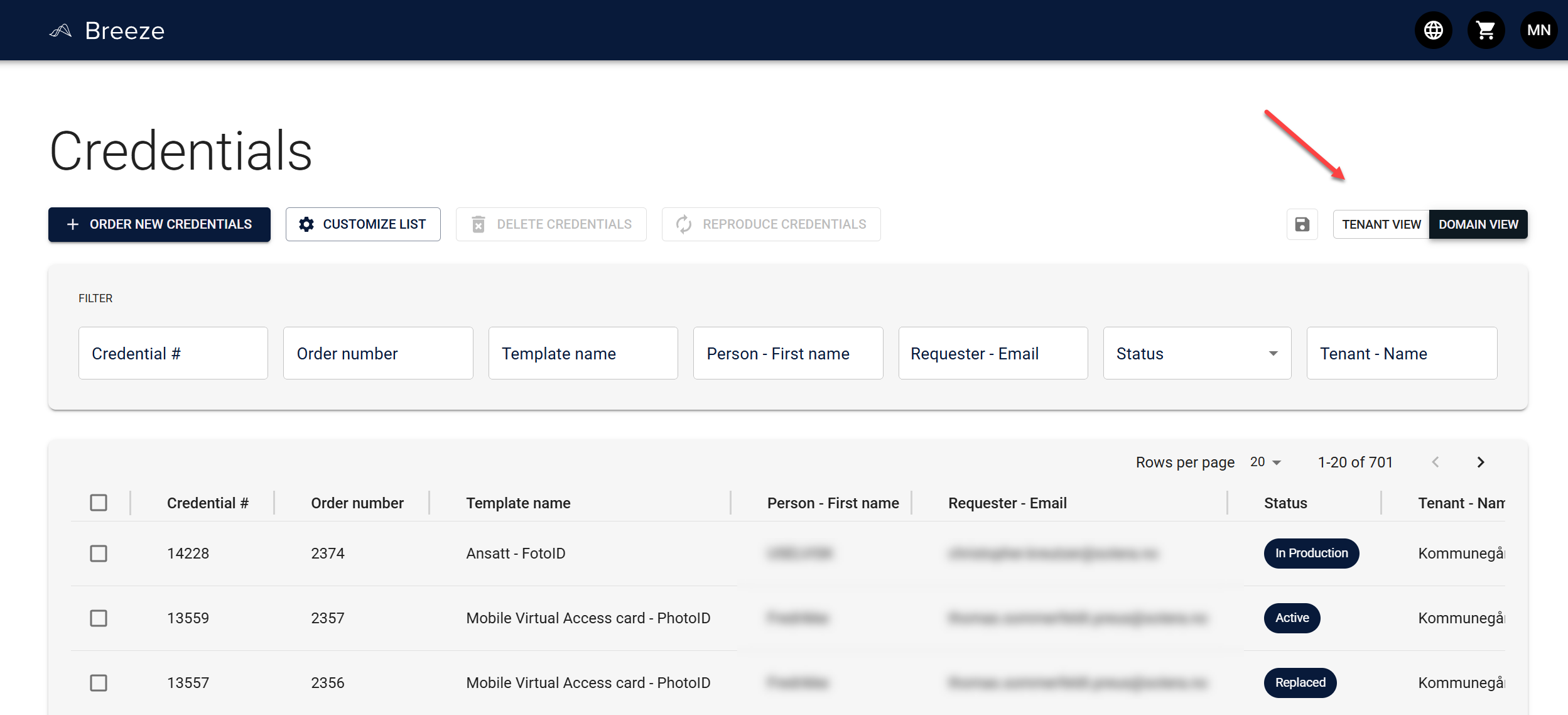 Domain View with tenant column